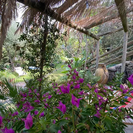 Le Dimore Di Zaro - Paradise Apartment Forio (Isola d'Ischia)
