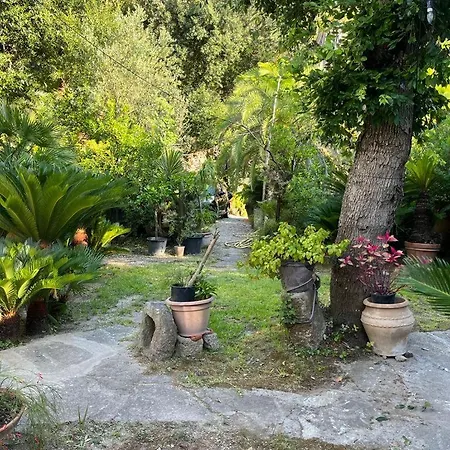 Apartment Le Dimore Di Zaro - Paradise Forio (Isola d'Ischia)
