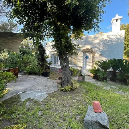 Le Dimore Di Zaro - Paradise Apartment Forio (Isola d'Ischia)