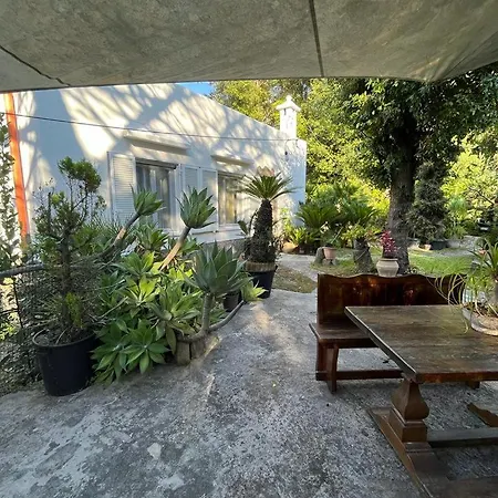 Le Dimore Di Zaro - Paradise * Forio (Isola d'Ischia)