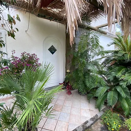 Apartment Le Dimore Di Zaro - Paradise *
